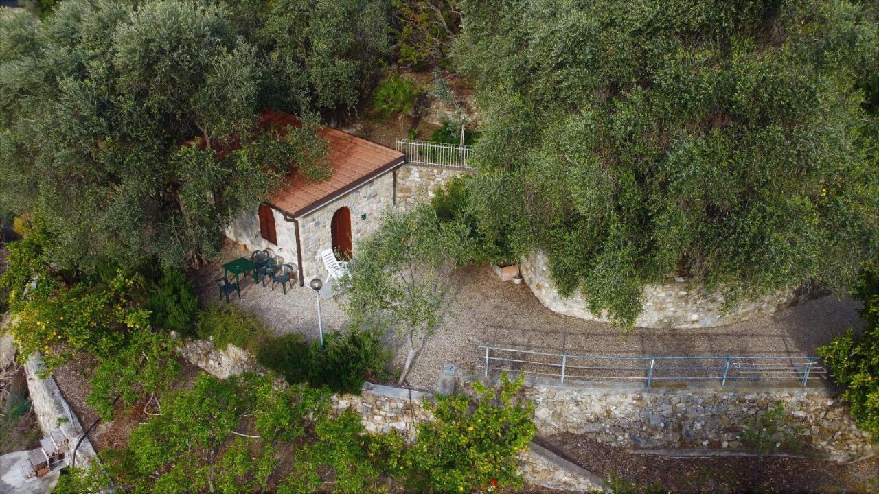 U Ciousu By Ligurian Life Appartamenti In Agriturismo Vallebona Eksteriør bilde