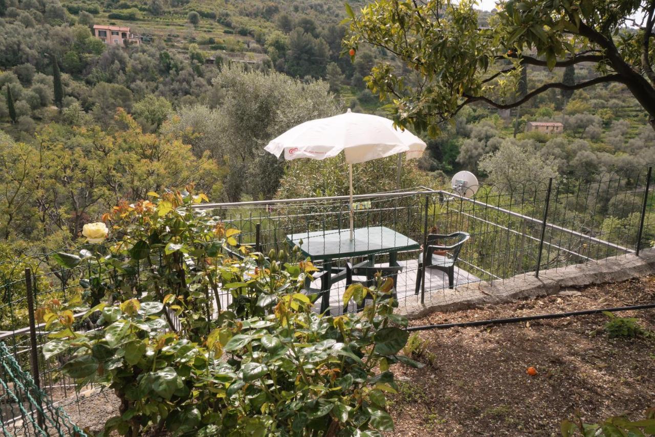 U Ciousu By Ligurian Life Appartamenti In Agriturismo Vallebona Eksteriør bilde