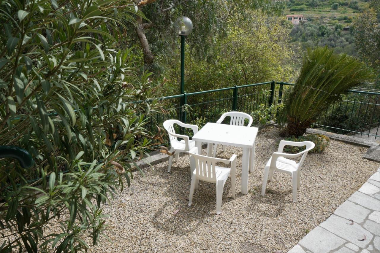 U Ciousu By Ligurian Life Appartamenti In Agriturismo Vallebona Eksteriør bilde