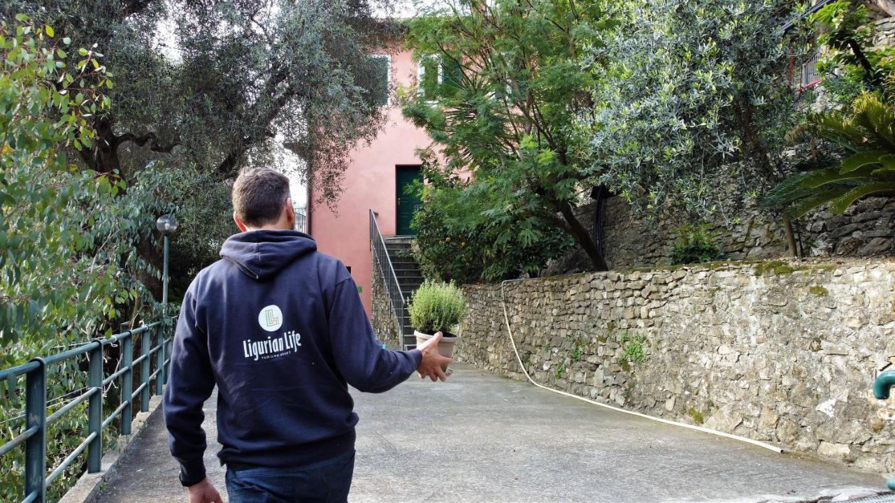U Ciousu By Ligurian Life Appartamenti In Agriturismo Vallebona Eksteriør bilde