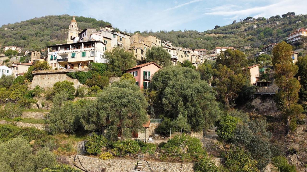 U Ciousu By Ligurian Life Appartamenti In Agriturismo Vallebona Eksteriør bilde